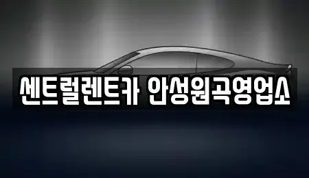 경기 평택시 도일동 렌트카 전문 센트럴렌트카 안성원곡영업소