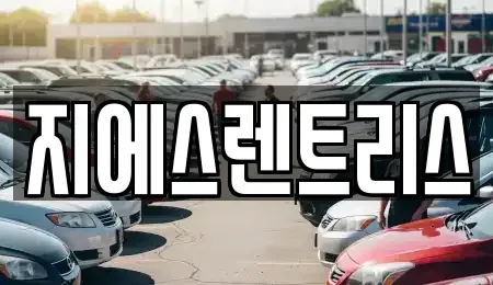경기 평택시 도일동 렌트카 전문 지에스렌트리스