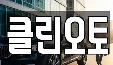 경기 평택시 도일동 중고차매매 전문 클린오토