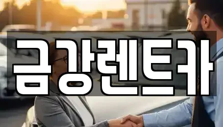 경기 화성시 금곡동 렌트카 전문 금강렌트카