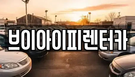 경기 화성시 금곡동 렌트카 전문 브이아이피렌터카