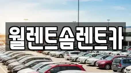 경기 화성시 금곡동 렌트카 전문 월렌트솜렌트카