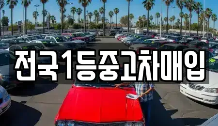 경기 화성시 금곡동 중고차매입 전문 전국1등중고차매입