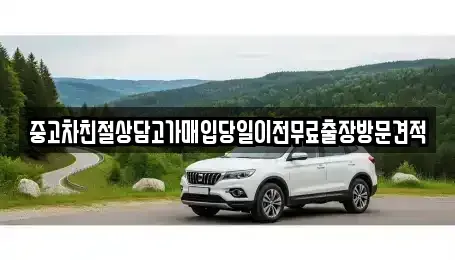 경기 화성시 금곡동 중고차매입 전문 중고차친절상담고가매입당일이전무료출장방문견적