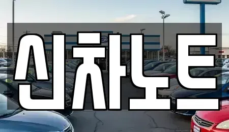 경기 화성시 반송동 장기렌트카 전문 신차노트