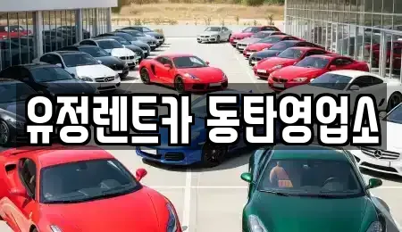 경기 화성시 병점동 렌트카 전문 유정렌트카 동탄영업소