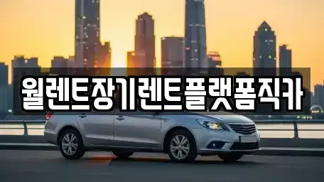경기 화성시 병점동 장기렌트카 전문 월렌트장기렌트플랫폼직카