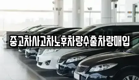 경기 화성시 병점동 중고차 전문 중고차사고차노후차량수출차량매입
