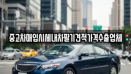 경기 화성시 병점동 중고차매입 전문 중고차매입시세내차팔기견적가격수출업체