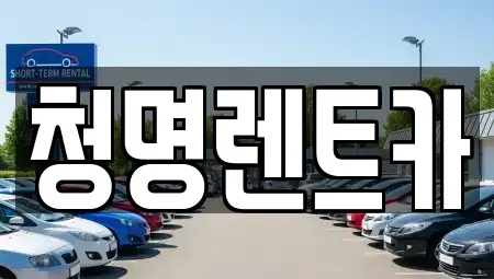 경기 화성시 석우동 단기렌트카 전문 청명렌트카