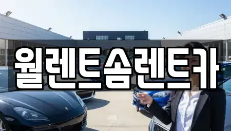 경기 화성시 석우동 렌트카 전문 월렌트솜렌트카