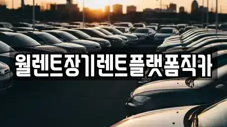 경기 화성시 안녕동 장기렌트카 전문 월렌트장기렌트플랫폼직카