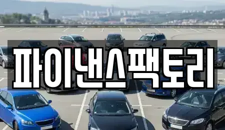 경기 화성시 안녕동 장기렌트카 전문 파이낸스팩토리