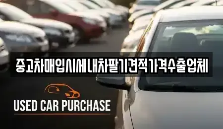 경기 화성시 안녕동 중고차매입 전문 중고차매입시세내차팔기견적가격수출업체