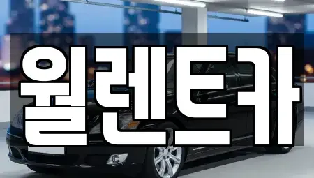 경기 화성시 영천동 렌트카 전문 월렌트카