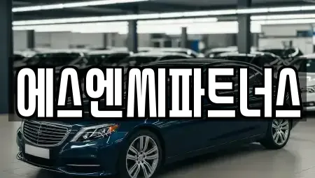 경기 화성시 영천동 장기렌트카 전문 에스엔씨파트너스