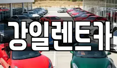 경기 화성시 향남읍 렌트카 전문 강일렌트카