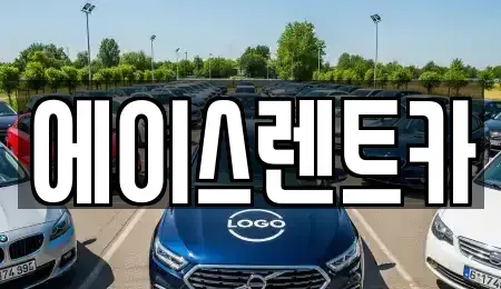 경기 화성시 향남읍 렌트카 전문 에이스렌트카