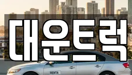 경기 화성시 향남읍 중고차 전문 대운트럭
