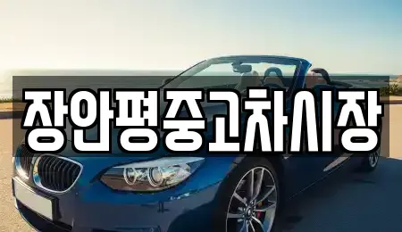 경기도 가평군 중고차 전문 장안평중고차시장