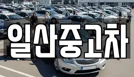 경기도 고양시 덕양구 도내동 중고차매매,단기렌트카,중고차매입,장기렌트카,중고차,렌트카