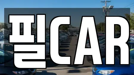 경기도 고양시 덕양구 도내동 중고차매매 전문 필CAR