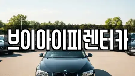 경기도 고양시 일산동구 설문동 렌트카 전문 브이아이피렌터카