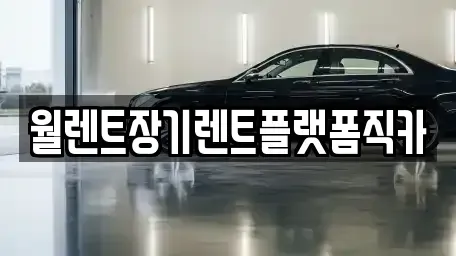 경기도 고양시 일산동구 설문동 장기렌트카 전문 월렌트장기렌트플랫폼직카