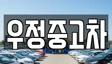 경기도 고양시 일산동구 설문동 중고차매매 전문 우정중고차