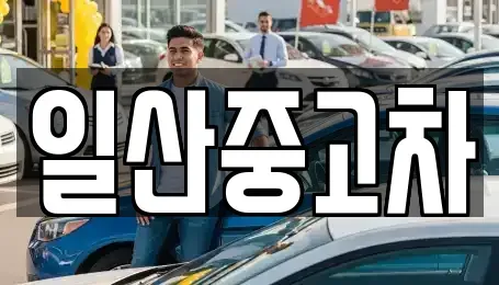 경기도 고양시 일산동구 설문동 중고차매매 전문 일산중고차