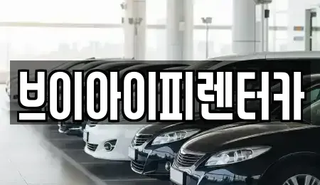 경기도 고양시 일산서구 덕이동 렌트카 전문 브이아이피렌터카