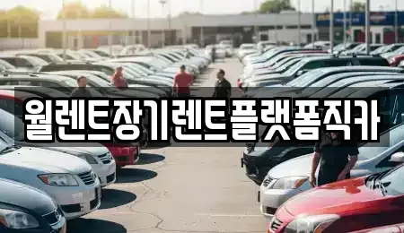 경기도 고양시 일산서구 덕이동 장기렌트카 전문 월렌트장기렌트플랫폼직카