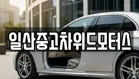 경기도 고양시 일산서구 덕이동 중고차 전문 일산중고차위드모터스