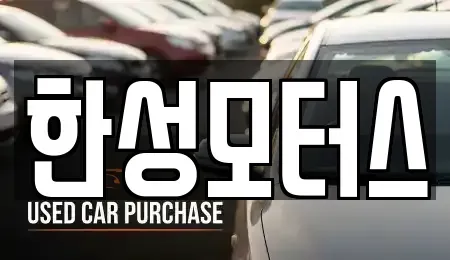 경기도 고양시 일산서구 덕이동 중고차 전문 한성모터스