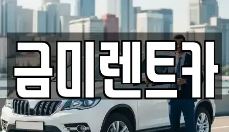 경기도 광명시 옥길동 렌트카 전문 금미렌트카