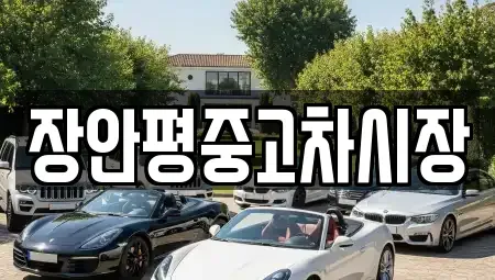 경기도 광명시 옥길동 중고차매매 전문 장안평중고차시장