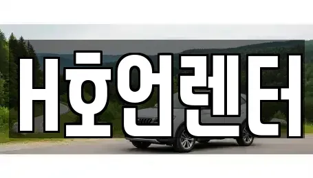 경기도 김포시 단기렌트카 전문 H호언렌터
