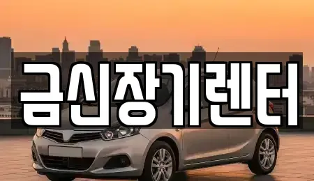 경기도 김포시 단기렌트카 전문 금신장기렌터
