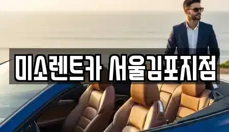 경기도 김포시 렌트카 전문 미소렌트카 서울김포지점