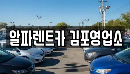 경기도 김포시 렌트카 전문 알파렌트카 김포영업소