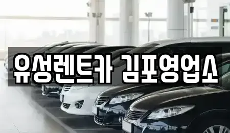 경기도 김포시 렌트카,단기렌트카,장기렌트카,중고차,중고차매매,중고차매입