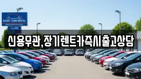 경기도 김포시 장기렌트카 전문 신용무관,장기렌트카즉시출고상담
