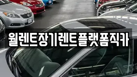 경기도 김포시 장기렌트카 전문 월렌트장기렌트플랫폼직카