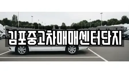 경기도 김포시 중고차 전문 김포중고차매매센터단지