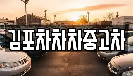 경기도 김포시 중고차 전문 김포차차차중고차