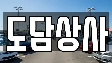 경기도 김포시 중고차 전문 도담상사