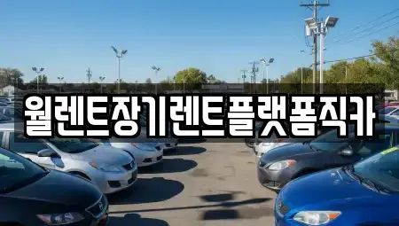 경기도 남양주시 와부읍 장기렌트카 전문 월렌트장기렌트플랫폼직카