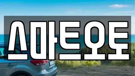 경기도 부천시 오정구 삼정동 장기렌트카 전문 스마트오토