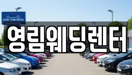 경기도 성남시 분당구 야탑동 단기렌트카 전문 영림웨딩렌터