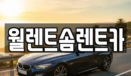 경기도 성남시 분당구 야탑동 렌트카 전문 월렌트솜렌트카
